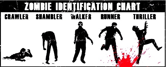indentification chart